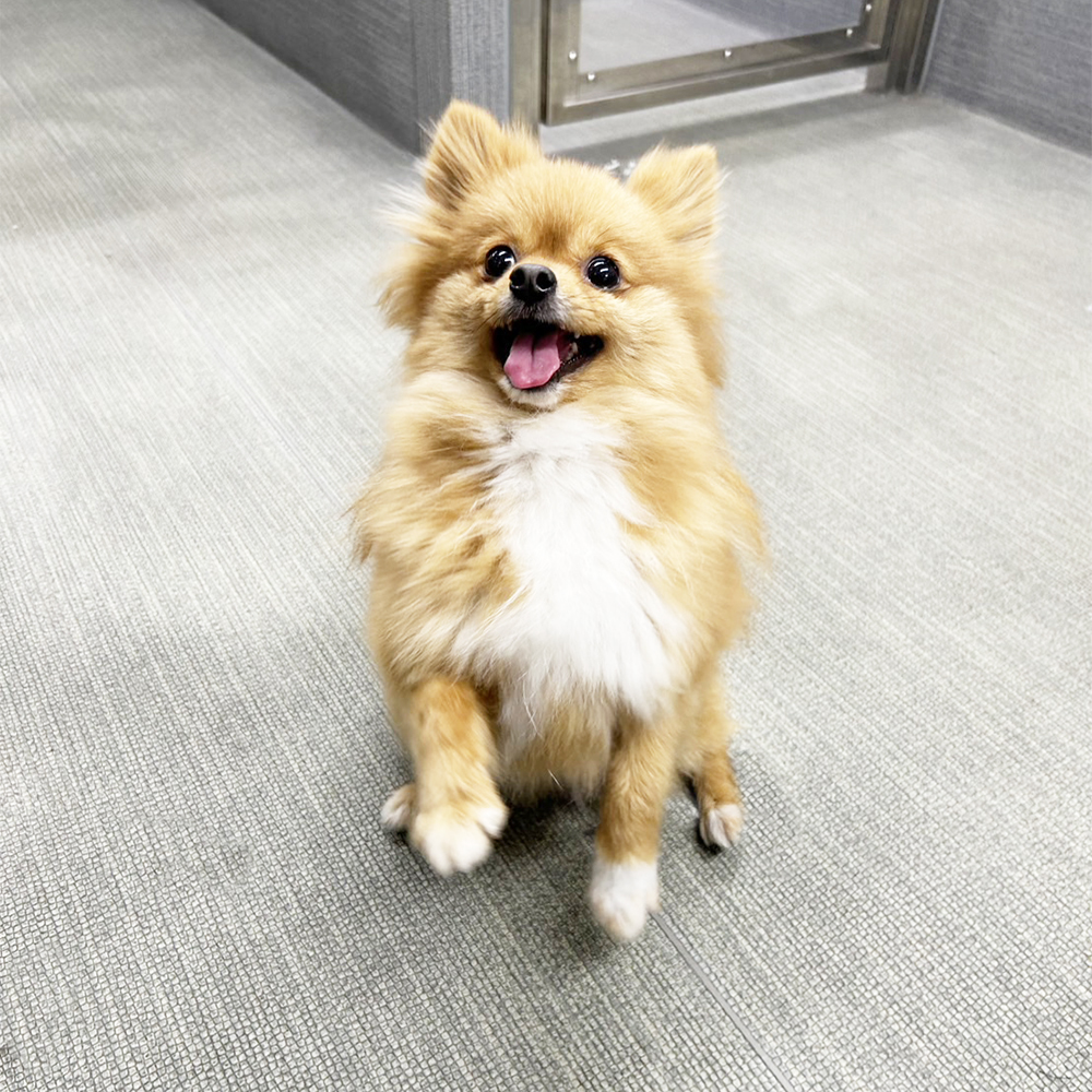 生徒が撮影してくれた写真♪②